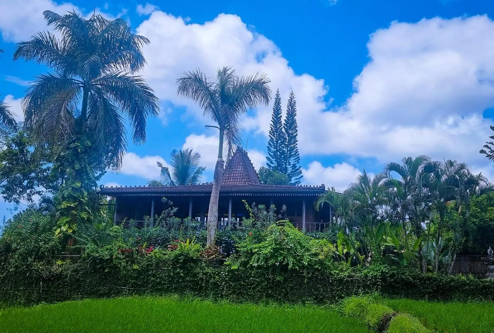 Ayu Dira Heritage House Ubud