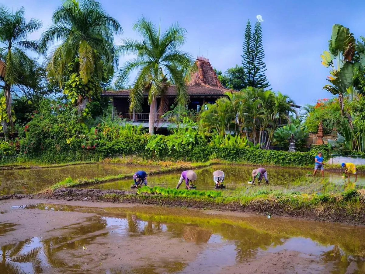 Villa Ayu Dira Heritage House Ubud